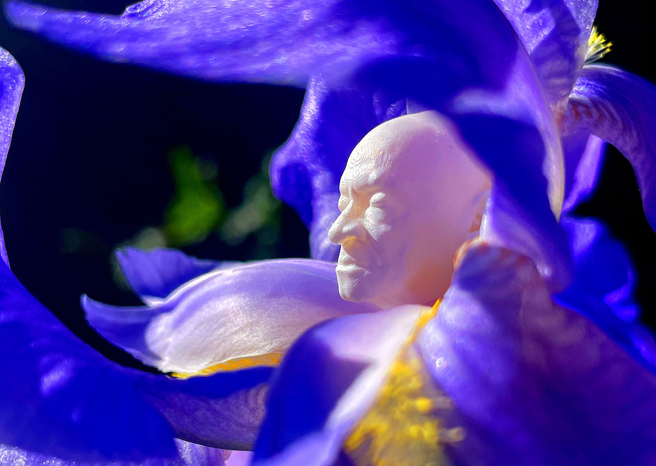 obit-thumbnail