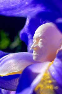 Lawrence Everett Currie thumbnail